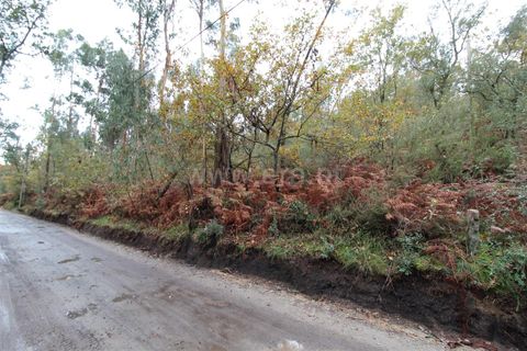  Land in Barcelos, Portugal No. 205225