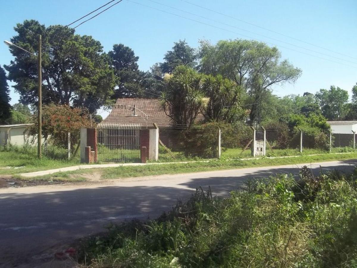 Дом с 3 спальнями в Мар-дель-Плата, Аргентина № 85032