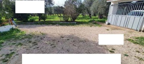 7 Schlafzimmer Villa in Villanova Monteleone, Italy, Nr. 64829 16