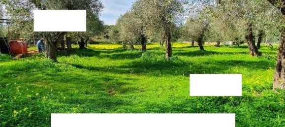 7 Schlafzimmer Villa in Villanova Monteleone, Italy, Nr. 64829 17