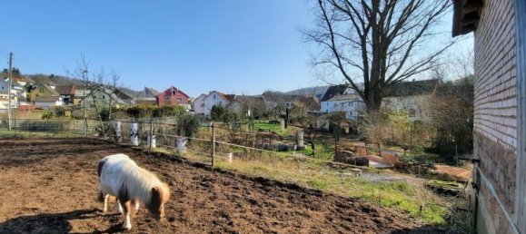 Ферма с 7 комнатами в Кайзерслаутерн, Германия № 211313 10