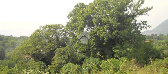 1700m² Land in Serino, Italy No. 149447 3