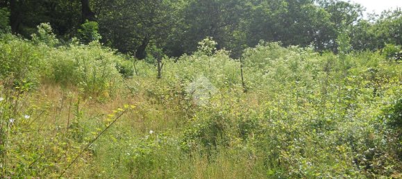 1700m² Land in Serino, Italy No. 149447 12