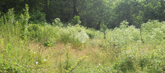1700m² Land in Serino, Italy No. 149447 6