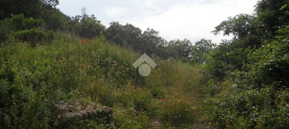 1700m² Land in Serino, Italy No. 149447 2