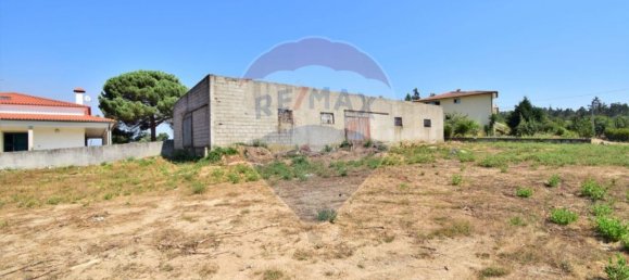  قطعة أرض في Tabua, Portugal 3450متر مربع رقم 61382 7