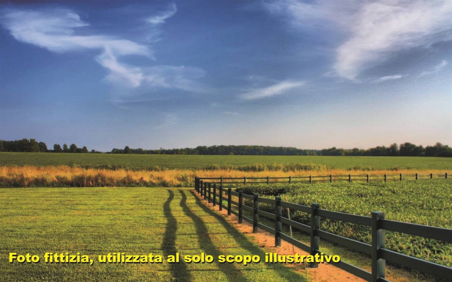 8000m² Land in Campi Bisenzio, Italy No. 222369