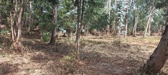 Terreno em Ouca, Portugal 18870 m² N.º 255484 22