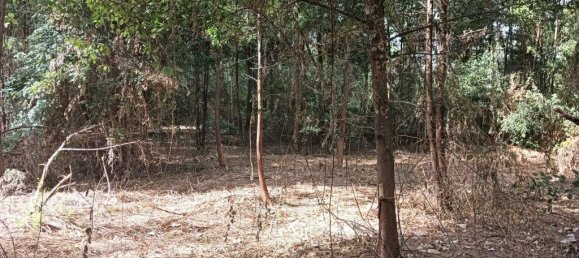 Terreno em Ouca, Portugal 18870 m² N.º 255484 13