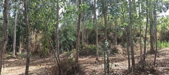 Terreno em Ouca, Portugal 18870 m² N.º 255484 14