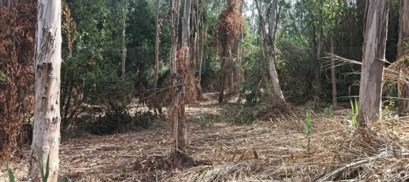 Terreno em Ouca, Portugal 18870 m² N.º 255484 16