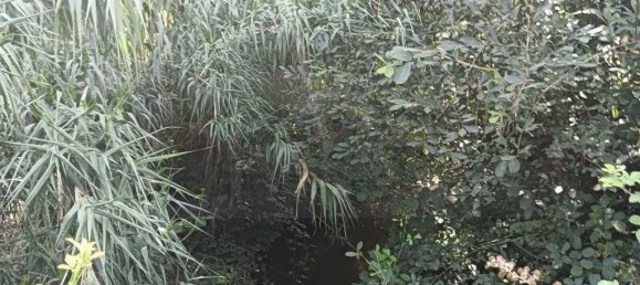 Terreno em Ouca, Portugal 18870 m² N.º 255484 6