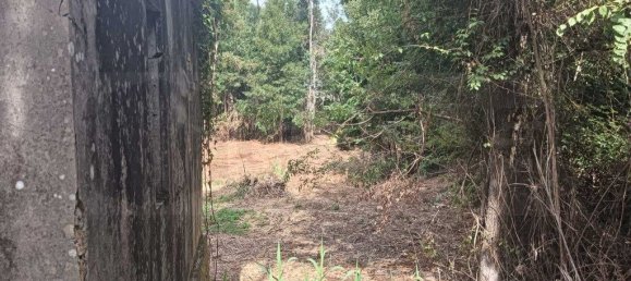 Terreno em Ouca, Portugal 18870 m² N.º 255484 4