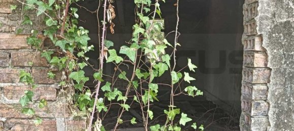 Terreno em Ouca, Portugal 18870 m² N.º 255484 2