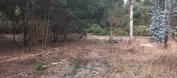 Terreno em Ouca, Portugal 18870 m² N.º 255484 15