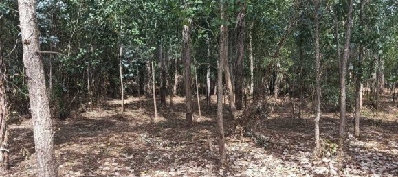 Terreno em Ouca, Portugal 18870 m² N.º 255484 26