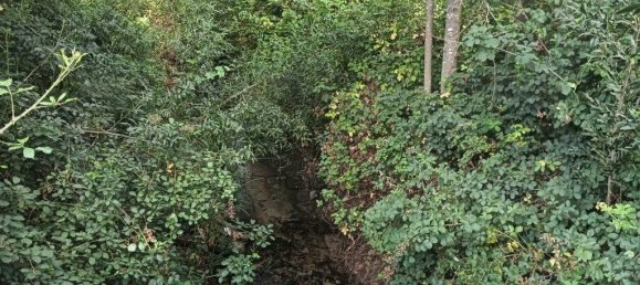 Terreno em Ouca, Portugal 18870 m² N.º 255484 7