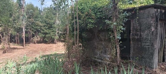 Terreno em Ouca, Portugal 18870 m² N.º 255484 5