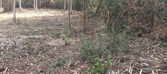 Terreno em Ouca, Portugal 18870 m² N.º 255484 23