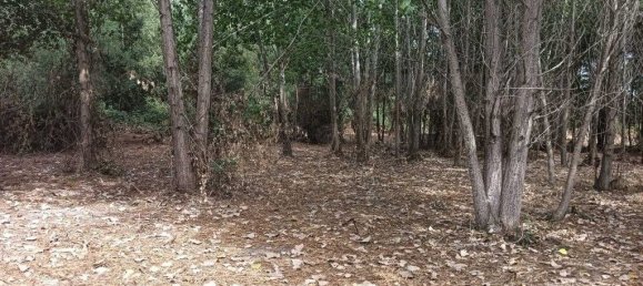 Terreno em Ouca, Portugal 18870 m² N.º 255484 11