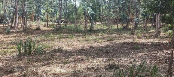 Terreno em Ouca, Portugal 18870 m² N.º 255484 17