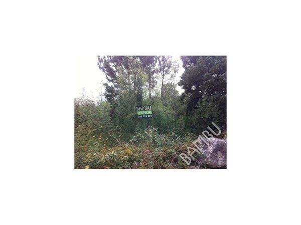 2300m² Land in Caminha, Portugal No. 51920