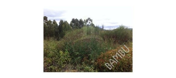 2300m² Land in Caminha, Portugal No. 51920 2