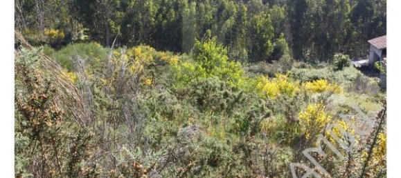 2300m² Land in Caminha, Portugal No. 51920 5