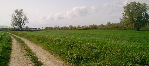 9861m² Hotel in Chalkidiki, Greece No. 8023 2