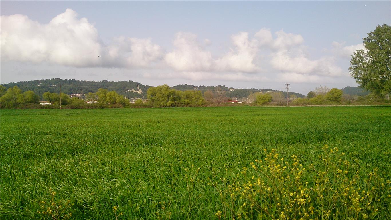  فندق في Chalkidiki, Greece 9861متر مربع رقم 8023