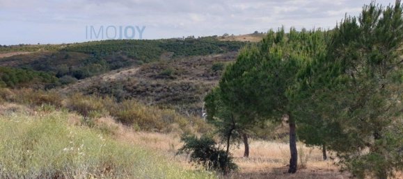 1280m² Land in Azinhal, Portugal No. 82387 2