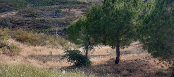 1280m² Land in Azinhal, Portugal No. 82387 4