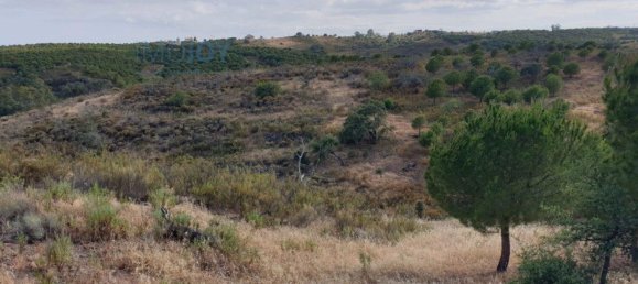 1280m² Land in Azinhal, Portugal No. 82387 9