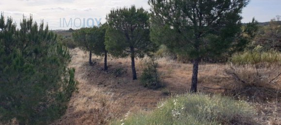 1280m² Land in Azinhal, Portugal No. 82387 5