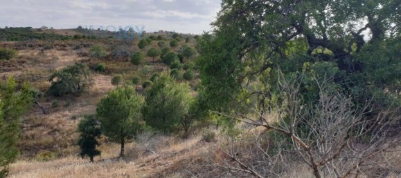 1280m² Land in Azinhal, Portugal No. 82387 7