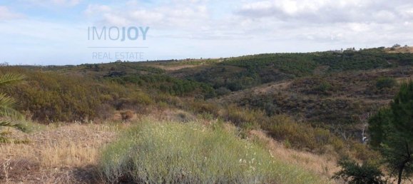 1280m² Land in Azinhal, Portugal No. 82387 8