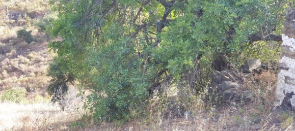 1280m² Land in Azinhal, Portugal No. 82387 3