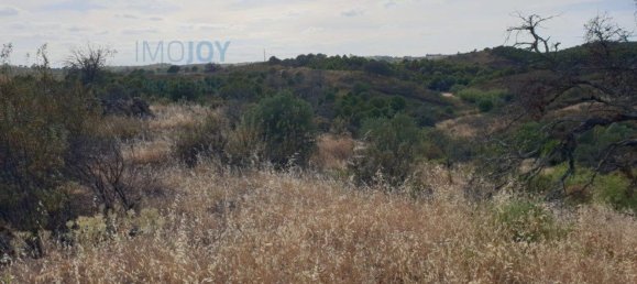 1280m² Land in Azinhal, Portugal No. 82387 10
