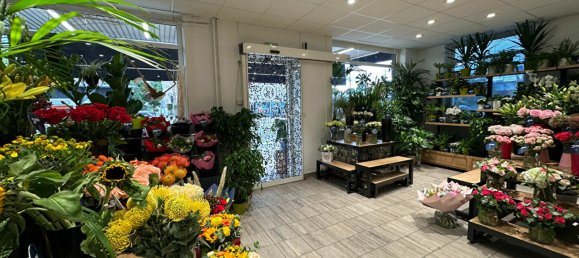 Здание с 3 спальнями в Страсбург, Франция № 229017 2