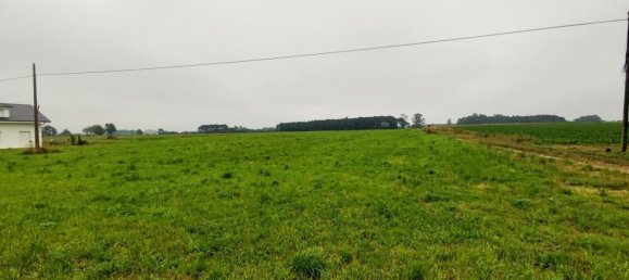 Grundstück in Asturias, Spain, Nr. 164932 8