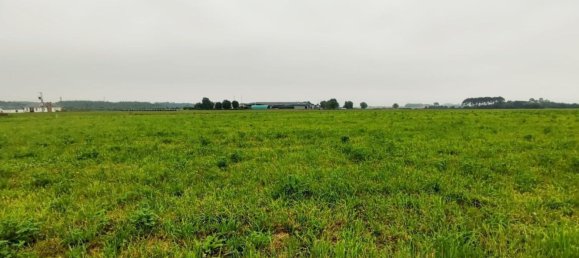 Grundstück in Asturias, Spain, Nr. 164932 5