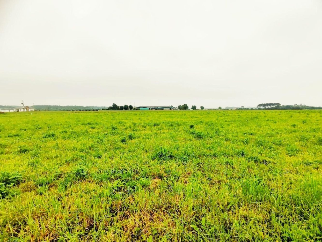 Grundstück in Asturias, Spain, Nr. 164932