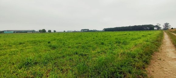 Grundstück in Asturias, Spain, Nr. 164932 15