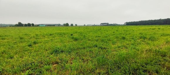 Grundstück in Asturias, Spain, Nr. 164932 4