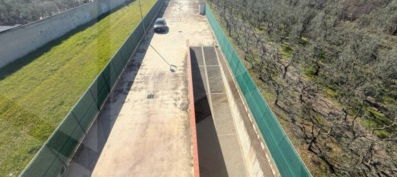 3 rooms Villa in Barletta, Italy No. 17908 15