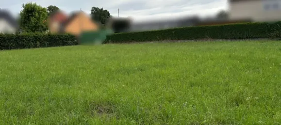  Land in Lippe, Germany No. 293057 4