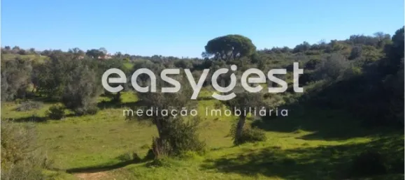  قطعة أرض في Abrantes, Portugal رقم 64832 5