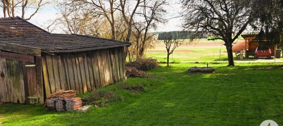 3 rooms House in Litschau, Austria No. 134871 6