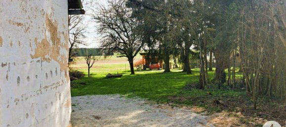 3 rooms House in Litschau, Austria No. 134871 16