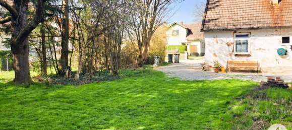 3 rooms House in Litschau, Austria No. 134871 5